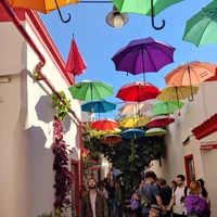 Felipe del Río 's profile picture