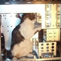 Adrián Vidal's profile picture