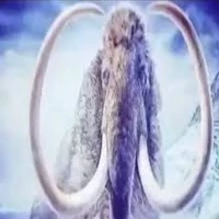 crumbs playground's profile picture