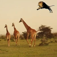 Automated Research Group (ARG)'s profile picture