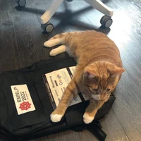 Freda Shi's profile picture