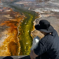 Chaeho Shin's profile picture